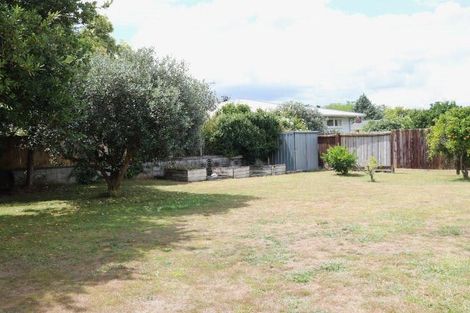 Photo of property in 143 Fitzroy Avenue, Fitzroy, Hamilton, 3206