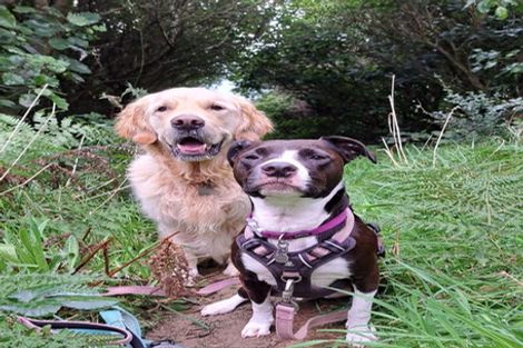 Photo of property in 26 Apuka Street, Brooklyn, Wellington, 6021