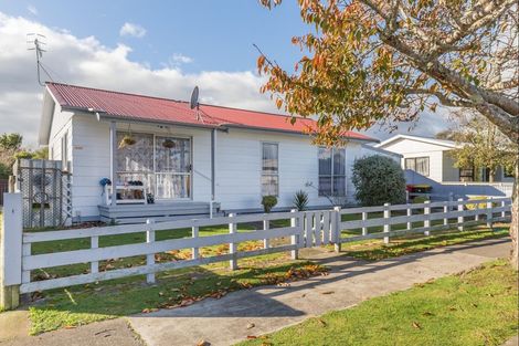 Photo of property in 9 Guy Avenue, Levin, 5510
