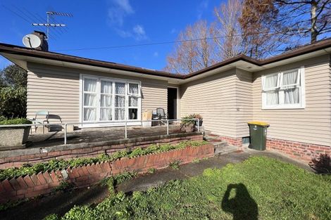 Photo of property in 43 Halver Road, Hillpark, Auckland, 2102