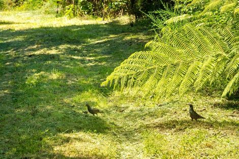 Photo of property in 32 Tepuia Heights, Havelock, 7281