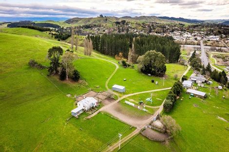 Photo of property in 210 Ongaonga Road, Waipawa, 4272
