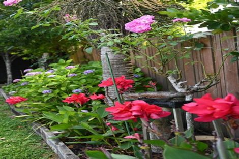 Photo of property in 9 Lyons Avenue, Murrays Bay, Auckland, 0630