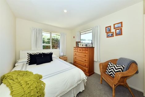 Photo of property in 47 Nicholls Street, Richmond, Christchurch, 8013