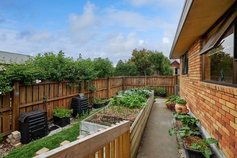 Photo of property in 283b Scarborough Street, Kaikoura, 7300