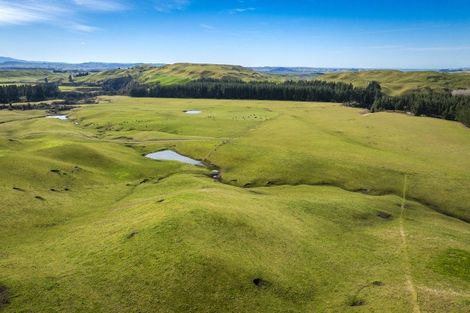 Photo of property in 1233 Kereru Road, Maraekakaho, Hastings, 4171