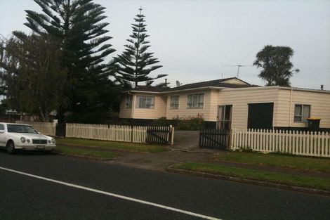 Photo of property in 119 Mahia Road, Wattle Downs, Auckland, 2103