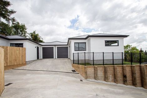 Photo of property in 4/16 Rothwell Street, Dinsdale, Hamilton, 3204