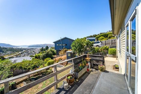 Photo of property in 52 Waimea Avenue, Calton Hill, Dunedin, 9012