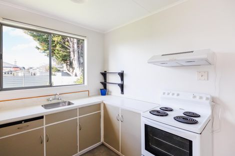 Photo of property in 101 Shamrock Street, Takaro, Palmerston North, 4412