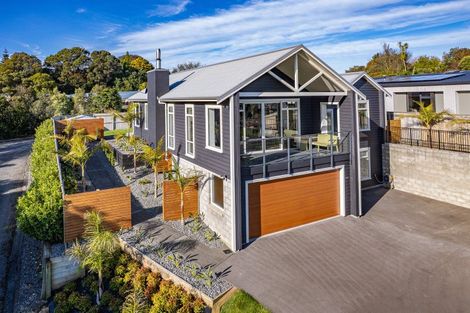 Photo of property in 80c Peakes Road, Springvale, Whanganui, 4501