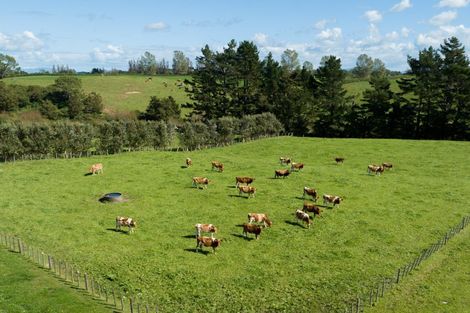 Photo of property in 1191 Old Te Aroha Road, Okauia, Matamata, 3471