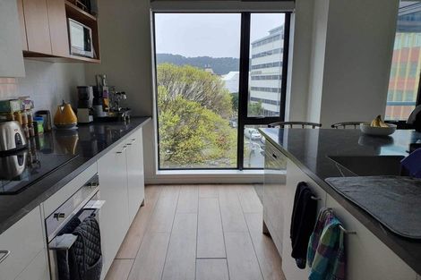 Photo of property in Vsp South, 301/168 Victoria Street, Te Aro, Wellington, 6011
