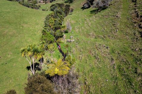 Photo of property in 459 Wainui Road, Raglan, 3297