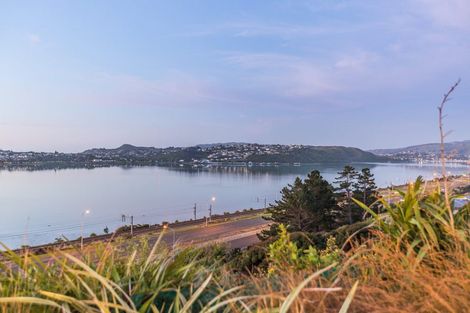 Photo of property in 15 Sue Dow Lane, Aotea, Porirua, 5024