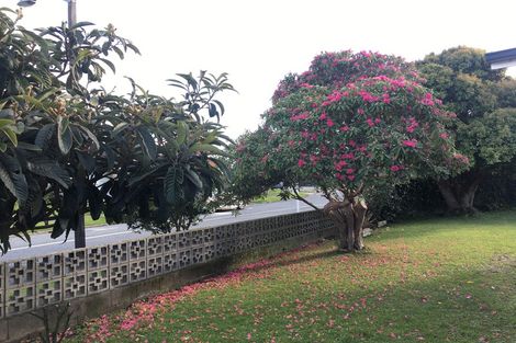 Photo of property in 122 Kings Crescent, Hutt Central, Lower Hutt, 5010