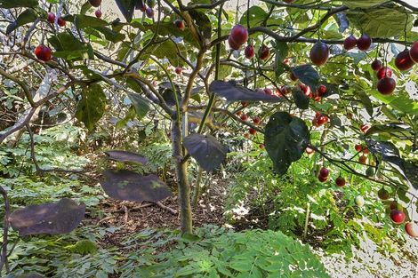 Photo of property in 200 Cowling Road, Hurdon, New Plymouth, 4371