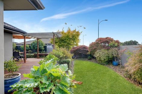Photo of property in 1 Amner Place, Havelock North, 4130