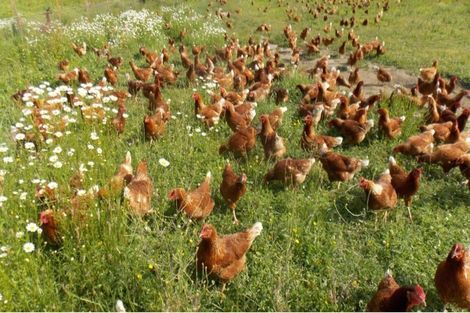 Photo of property in 275 Riwaka Valley Road, Riwaka, Motueka, 7198