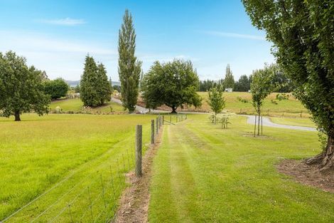 Photo of property in 84 Cover Street, Lumsden, 9730