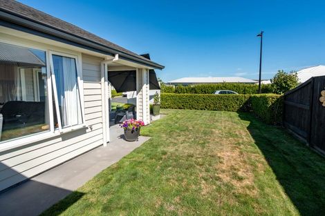 Photo of property in 25 Avian Place, Flagstaff, Hamilton, 3210