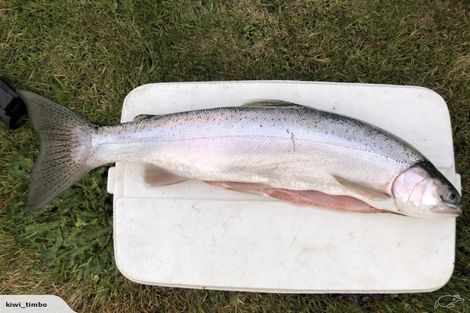 Photo of property in 7 Hart Place, Lake Coleridge, 7572