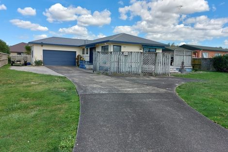 Photo of property in 20 Madgwick Place, Ngatea, 3503