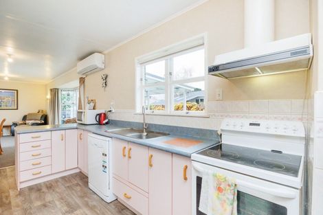 Photo of property in 101 Sherwill Street, Feilding, 4702