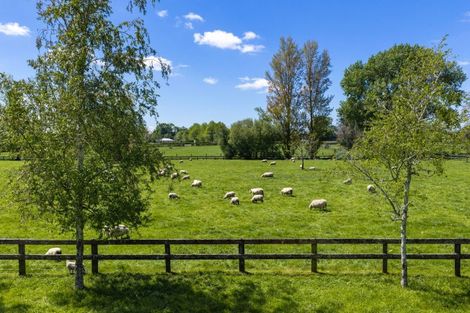 Photo of property in 542 Kaipaki Road, Ohaupo, 3881