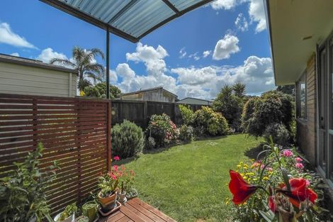 Photo of property in 41 Darlington Street, Ngatea, 3503