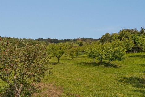 Photo of property in 16 Hodge Road, Coroglen, Whitianga, 3591