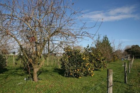 Photo of property in 8 Dalziel Road, Waerenga, Te Kauwhata, 3781