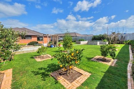 Photo of property in 8 Drumkeen Place, Rosehill, Papakura, 2113