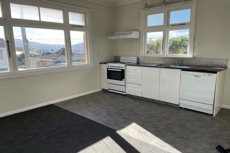 Photo of property in 19 Picardy Street, Maryhill, Dunedin, 9011