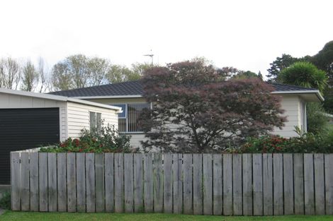 Photo of property in 41 Chilcott Road, Henderson, Auckland, 0612