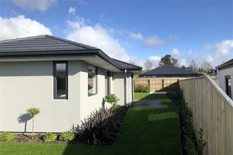 Photo of property in 19 Travers Avenue, Richmond, 7020