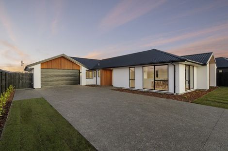 Photo of property in 41 Candlesticks Crescent, Lincoln, 7608