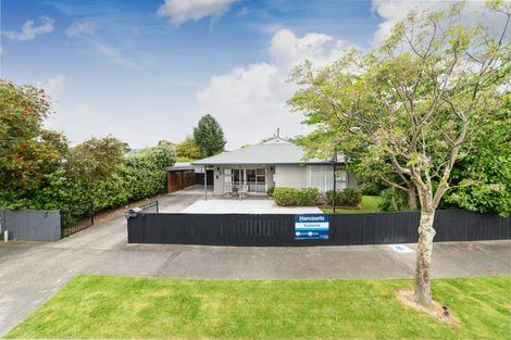 Photo of property in 14 Snowdon Avenue, Terrace End, Palmerston North, 4410