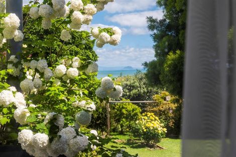 Photo of property in 33 Ngaparaoa Drive, Maketu, Te Puke, 3189