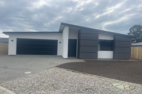 Photo of property in 16 Lotus Street, Appleby, Richmond, 7020