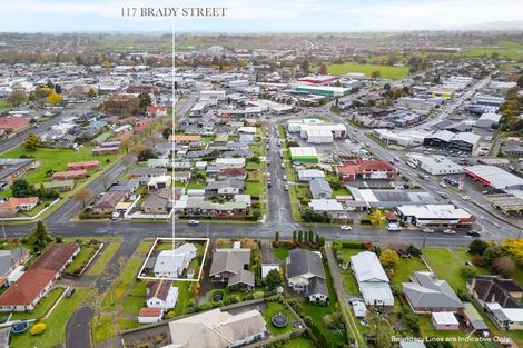 Photo of property in 117 Brady Street, Te Awamutu, 3800