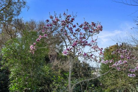 Photo of property in 52 Stansell Avenue, Tahunanui, Nelson, 7011