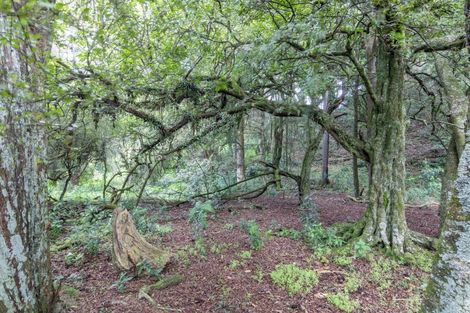 Photo of property in 137 Kiritaki Road, Dannevirke, 4972