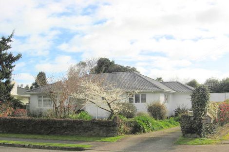 Photo of property in 22 Gordon Place, Levin, 5510