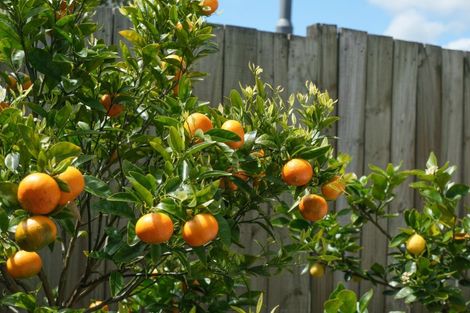 Photo of property in 73 Otonga Road, Springfield, Rotorua, 3015