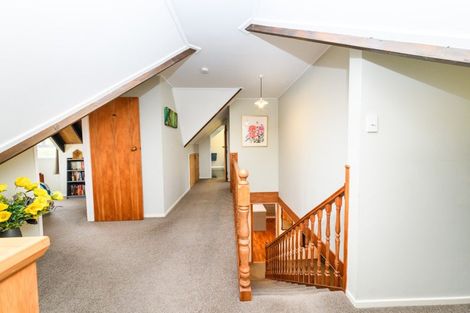 Photo of property in 480 Ruahine Street, Terrace End, Palmerston North, 4410