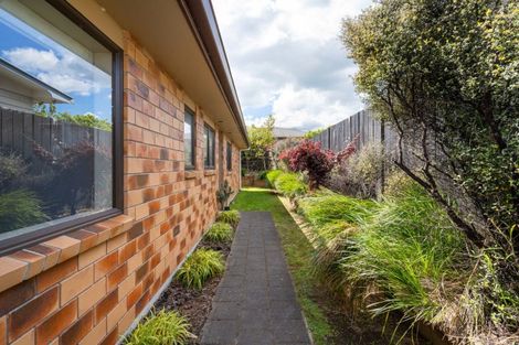 Photo of property in 168c Otumoetai Road, Brookfield, Tauranga, 3110