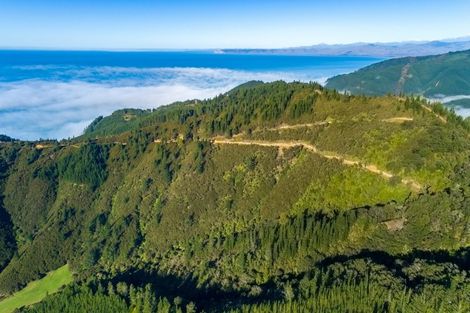 Photo of property in 2464 Port Underwood Road, Port Underwood, Picton, 7281