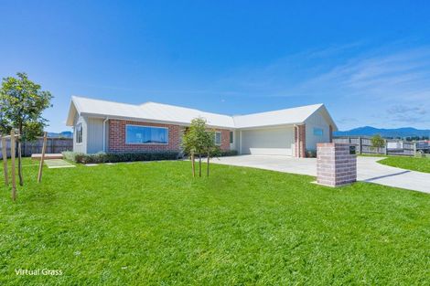 Photo of property in 46 Tainui Street, Levin, 5510