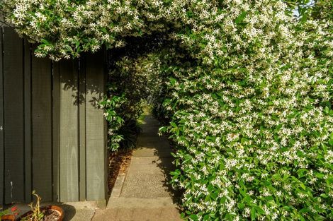 Photo of property in 17 Endeavour Avenue, Welcome Bay, Tauranga, 3112